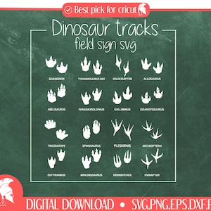 Dinosaur Tracks - Field Guide Sign SVG, Nursery Decor, Kids Room Decor, Dinosaur Footprints Poster SVG, Dinosaur Room DIY, Digital Download