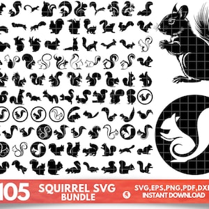 Peut inclure: Une collection de plus de 105 motifs SVG de l'écureuil noir. L'image comprend diverses silhouettes d'écureuils, certaines dans des cercles, et une illustration détaillée d'un écureuil. Le texte indique "SQUIRREL SVG BUNDLE" et les options de type de fichier.