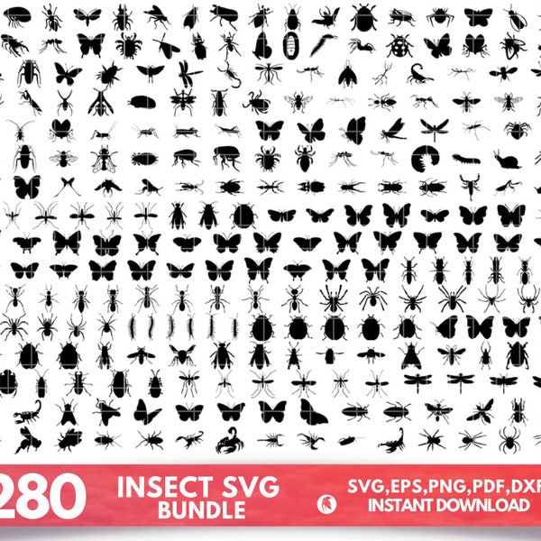 Files Insect Vector Insect Clipart - Etsy