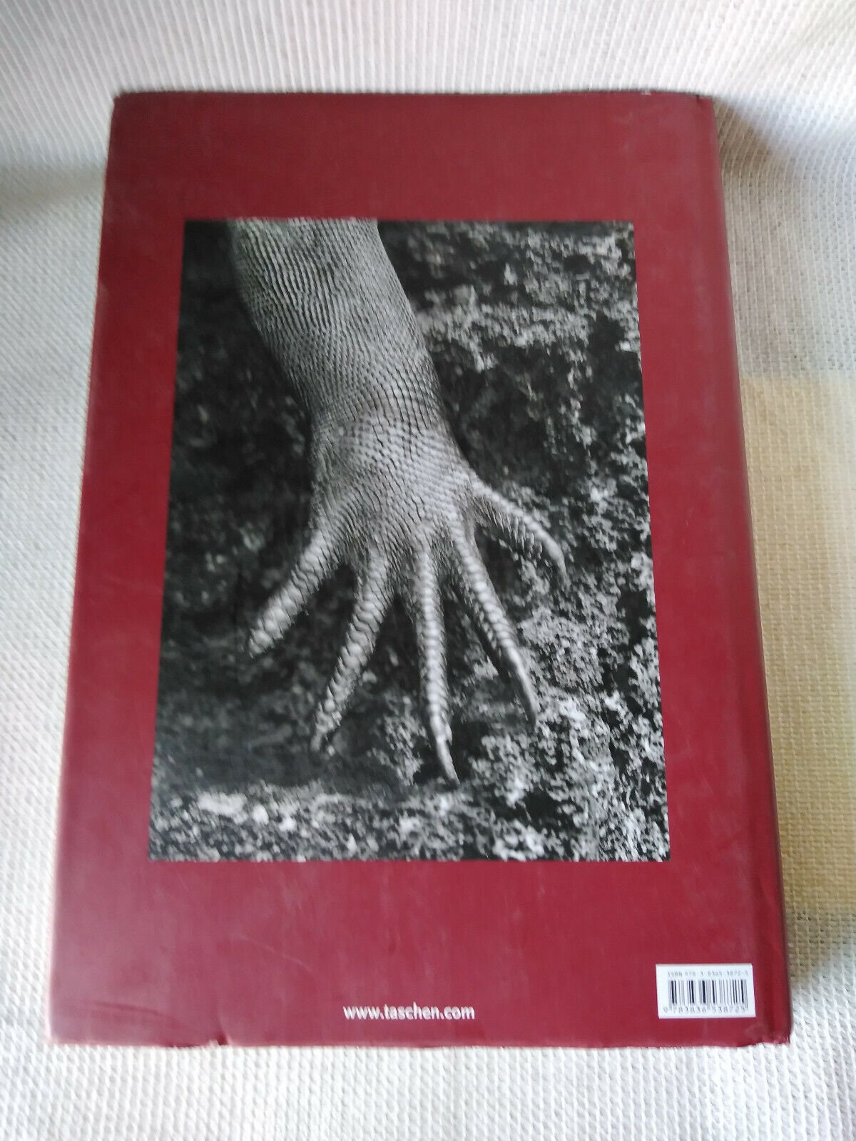 GENESIS Sebastião Salgado TASCHEN Sebastião Salgado's Genesis Photography Book by Taschen