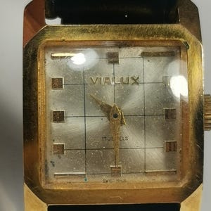 May include: A gold-tone square wristwatch with a black leather strap. The watch face is white with black markings and the text "VIALUX 17 JEWELS SWISS MADE".