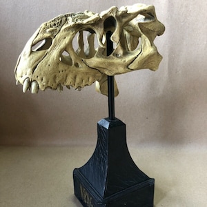 Kong V Rex skull Weta Collectibles Action Figures