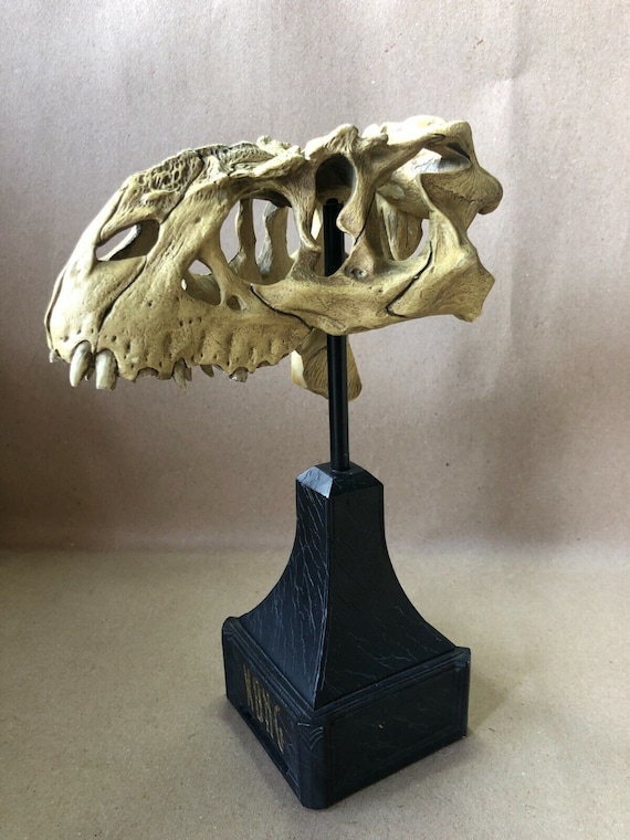 Kong V Rex Skull Weta Collectibles Action Figures - Etsy