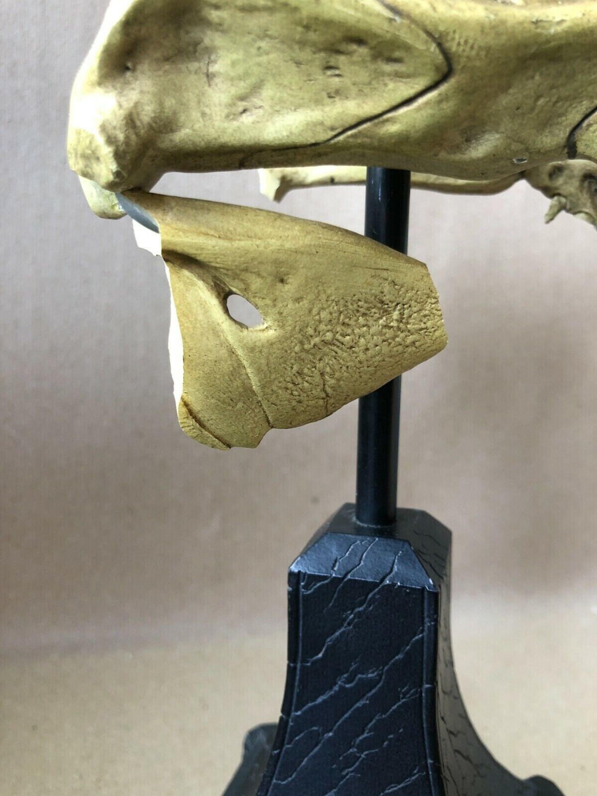 Kong V Rex Skull Weta Collectibles Action Figures - Etsy UK