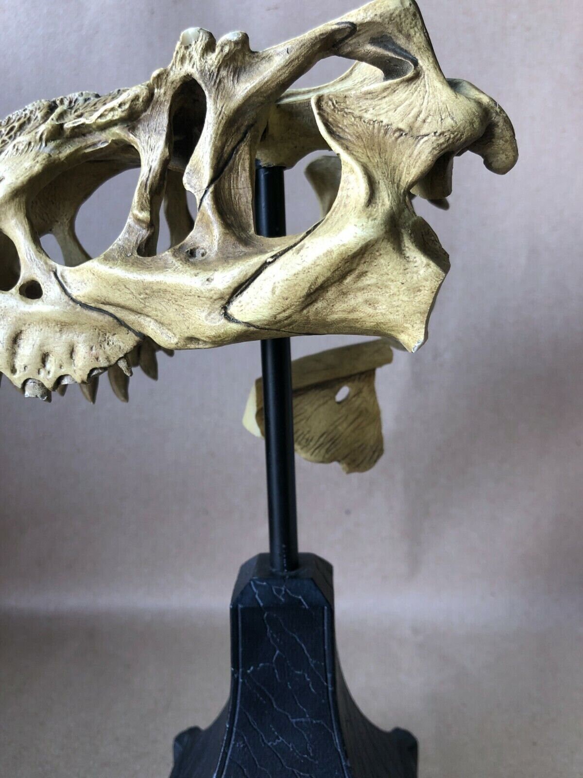 Kong V Rex Skull Weta Collectibles Action Figures - Etsy UK