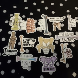 May include: A collection of stickers with anatomical illustrations of bones and phrases like "I got your back," "You give me femur," and "Stay hip." The stickers are on a black background with white polka dots.