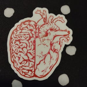 May include: A sticker featuring a red illustration of a human brain and heart, side-by-side. The brain is on the left, and the heart is on the right. The sticker is on a black background with white polka dots.