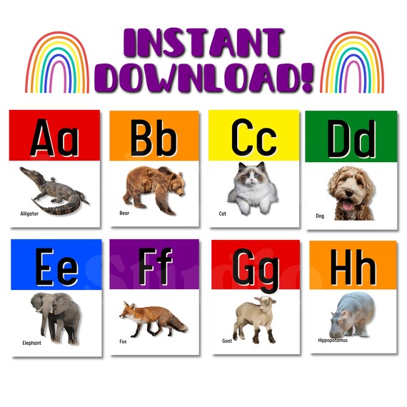 RAINBOW Alphabet/abc Boarder REAL Animals Rainbow Classroom - Etsy RAINBOW Alphabet/abc Boarder REAL Animals Rainbow Classroom - Etsy