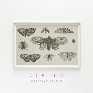 Vintage Moth and Butterfly Sketch Print  | Entomology Prints | Cottage Aesthetic | Science prints | PRINTABLE INSTANT DOWNLOAD
