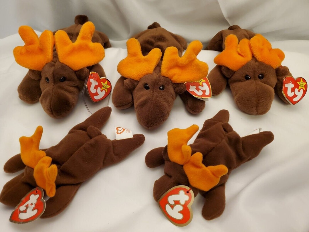 Lot 5 TY Beanie Baby Chocolate 4015 Moose RARE TY Deutschland 3rd