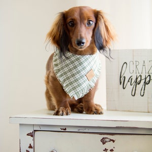 Dog Bandana. Personalized Dog Bandana. Custom Dog Bandana. Dog Apparel