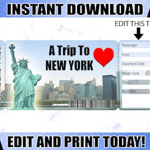 New York Boarding Pass Ticket, Printable Airline Ticket Trip Reveal, Printable Tickets, Surprise NY Trip Ticket Downloadable