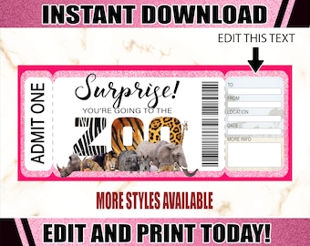 Zoo Printable Ticket. Surprise Zoo Ticket. Printable Zoo Gift Ticket. Editable Zoo Ticket. Printable Tickets.