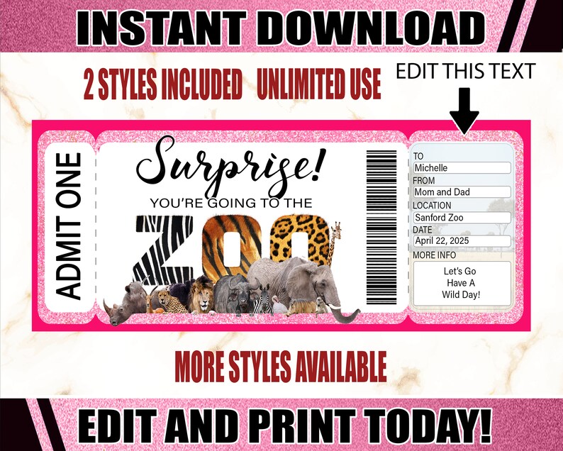 Zoo Printable Ticket. Surprise Zoo Ticket. Printable Zoo Gift | Etsy