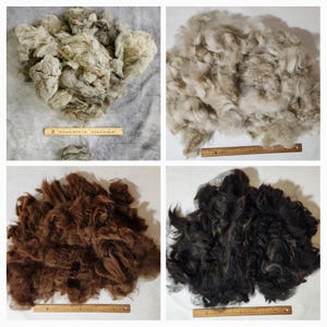 May include: Four piles of wool fleece in different colors: gray, white, brown, and black. Each pile is about 12 inches wide and 12 inches long. A ruler is placed next to each pile for scale.
