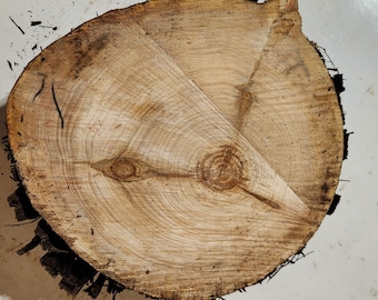 30-35 cm rustikale Holzscheibe für Hochzeitstorten, in verschiedenen Stärken erhältlich (unbehandelt)