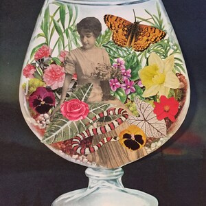 Collage Print - “Lady Terrarium”