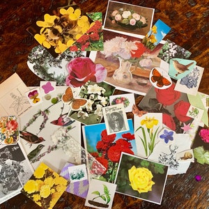 Mini Nature Themed Collage Kit image 8