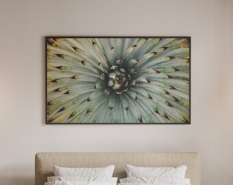 California Mountain Yucca plant photography print download digital photo prints wall art home office nursery decor travel nature