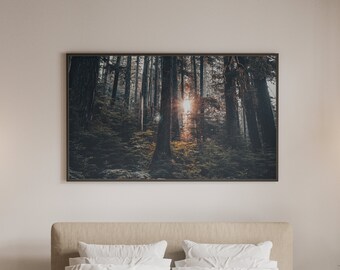 The sunrise through the forest Washington photography print download digital photo prints wall art home office nursery decor travel nature
