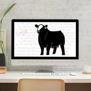 Black baldy  show bull, show cattle, stock show, instant digital download, showing, livestock