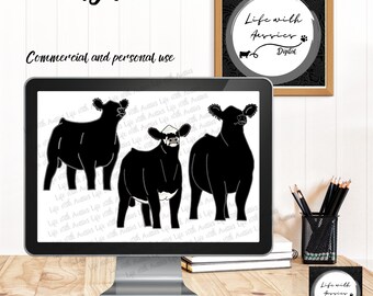 Regrouper les vaches orientées vers l’avant, spectacle Bovin, génisse, montrant le bétail, bouvillon, spectacle de stock, téléchargement numérique instantané, affichage, bétail