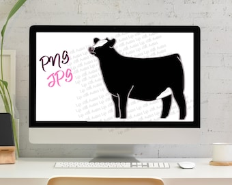 Black Baldy show heifer, show cattle, stock show, instant digital download, showing, livestock