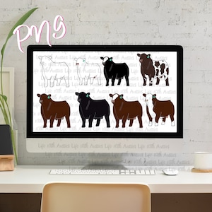 Paquete de 8 toros de exhibición, mostrar ganado, mostrar stock, descarga digital instantánea, mostrar, ganado