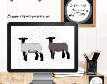 Show sheep, lamb, stock show, instant digital download, showing, livestock