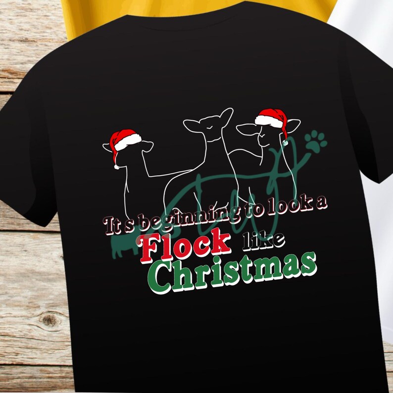 Flock Like Christmas, Show Sheep, Lamb, Market , Stock Show, Instant