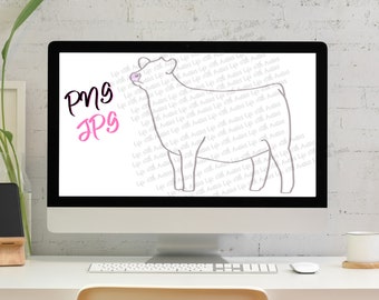 Charolais show heifer, show cattle, stock show, instant digital download, showing, livestock