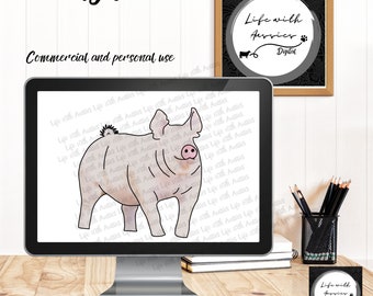 Yorkshire pig, show pigs, Gilt, barrow, sow , stock show, instant digital download, showing, livestock