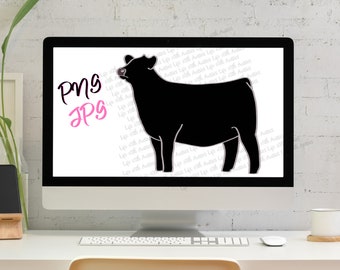 Black show heifer, show cattle, stock show, instant digital download, showing, livestock