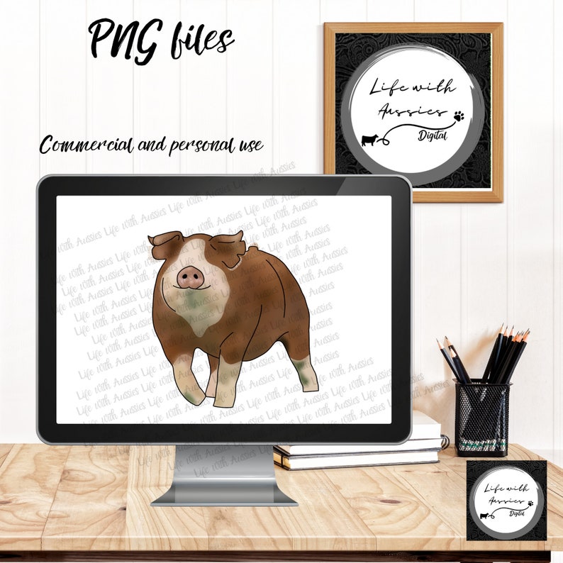 May include: Digital illustration of a brown and white pig with a watercolor effect. The pig is standing on a white background with the text "Life with Aussies" repeated in the background.