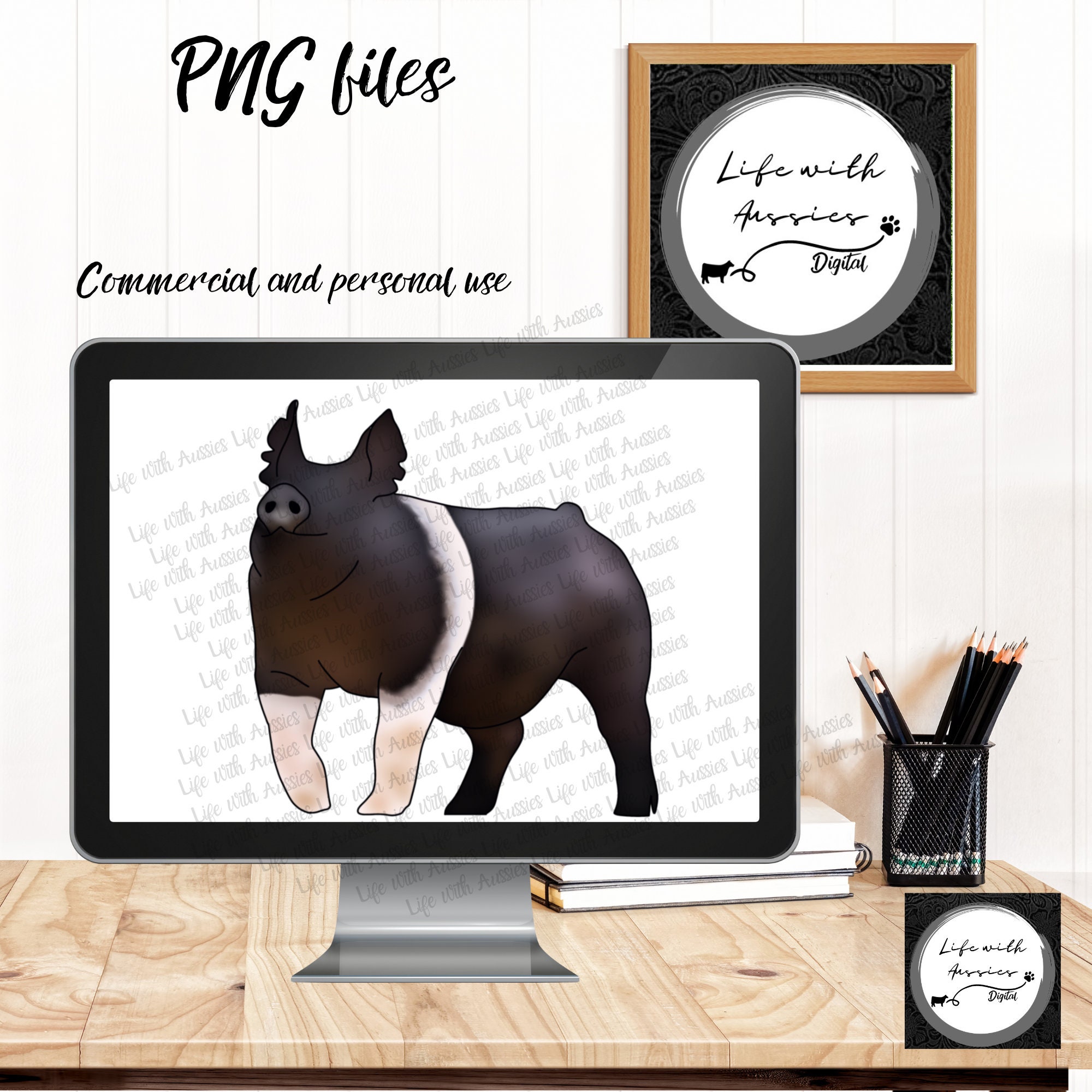 Hampshire Pig, Show Pigs, Gilt, Barrow, Sow , Stock Show, Instant Digital Download, Showing