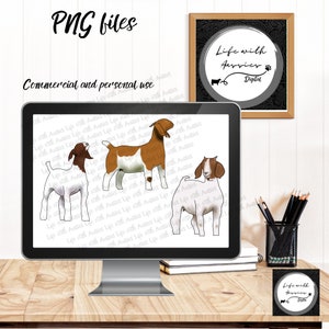 Bundle Ziegen, Eber Ziege, Stock Show, Show Ziege, sofortiger digitaler Download, Vorführung, Vieh