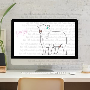 Charolais show bull, show cattle, stock show, descarga digital instantánea, showing, ganadería