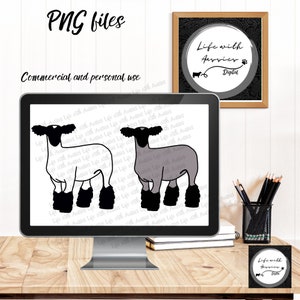 Show sheep, lamb, stock show, instant digital download, showing, livestock