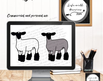 Show sheep, lamb, stock show, instant digital download, showing, livestock
