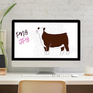 Hereford show novilla, mostrar ganado, stock show, descarga digital instantánea, mostrar, ganado