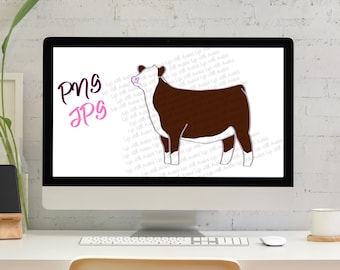 Hereford show heifer, show cattle, stock show, instant digital download, showing, livestock
