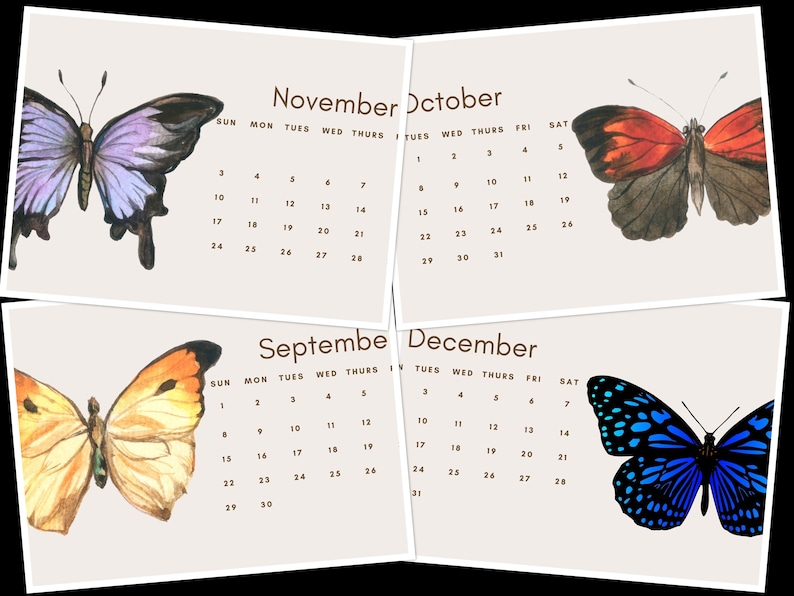 2024 Butterflies Calendar Printable Sunday Start Butterflies Wall ...