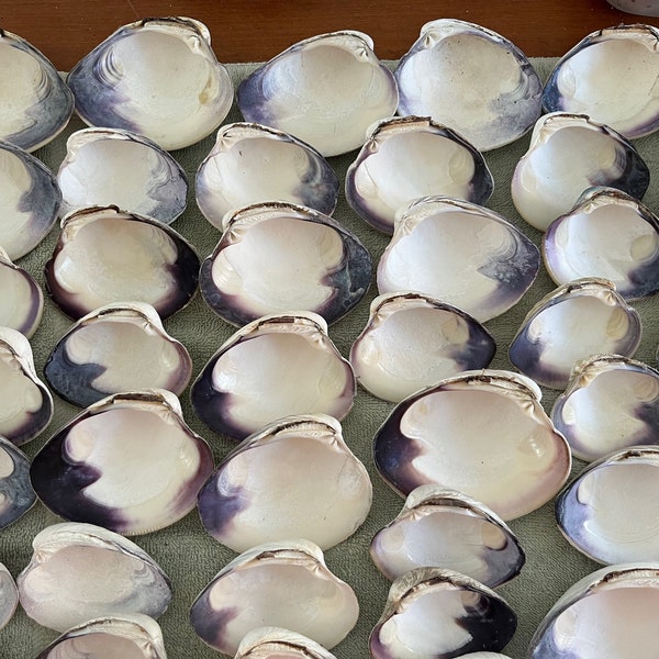 Wampum - Etsy