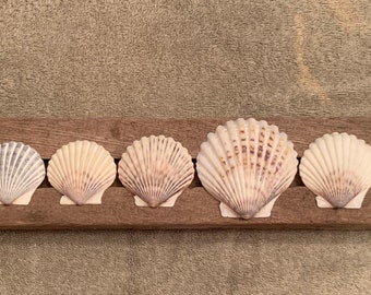 Driftwood art with scallop shells and sea glass.