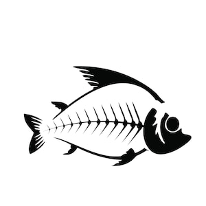 Pu&ograve; includere: Illustrazione in bianco e nero di uno scheletro di pesce. Il pesce &egrave; raffigurato di profilo, con la spina dorsale e le costole ben visibili. Le pinne e l'occhio sono anch'essi neri, in contrasto con lo sfondo bianco.