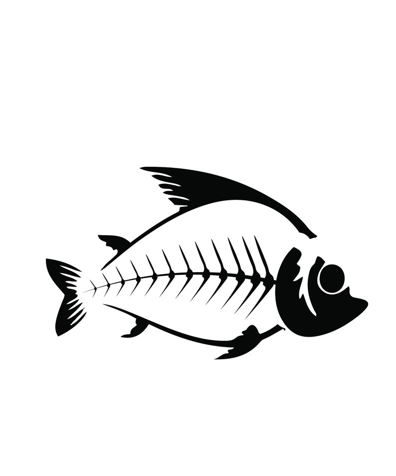Pu&ograve; includere: Illustrazione in bianco e nero di uno scheletro di pesce. Il pesce &egrave; raffigurato di profilo, con la spina dorsale e le costole ben visibili. Le pinne e l'occhio sono anch'essi neri, in contrasto con lo sfondo bianco.