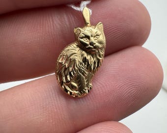May include: A gold-colored cat pendant. The pendant is a detailed, three-dimensional sculpture of a sitting cat. The cat's fur is textured, and it has a small loop at the top for a chain. The pendant is held between fingers.