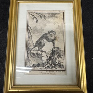 May include: A framed black and white etching of a monkey perched on a tree stump, with the text "L'Aigrette" at the bottom. The frame is gold-colored and rectangular, with a white matting around the artwork.