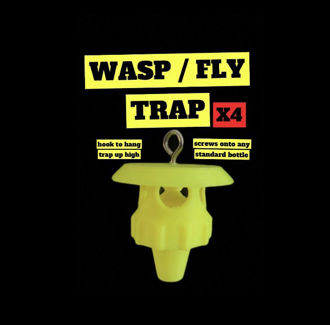 Wasp / Fly Trap - 4 Pack