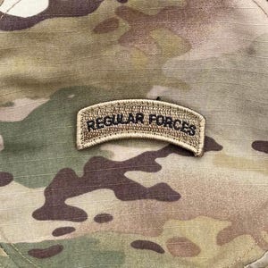 Regular Forces Tab, Morale Patch, Funny Military Patch, Hook and Loop Tactical Gift